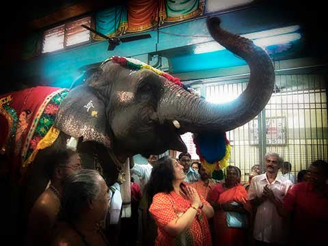 Rahu Ketu Course - 24 Parts